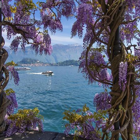 Il Panorama Di Forster Lägenhet Menaggio Exteriör bild